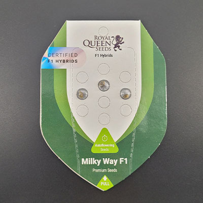 Auto Milky Way F1 > Royal Queen Seeds | Autoflowering Hanfsamen  |  Sativa