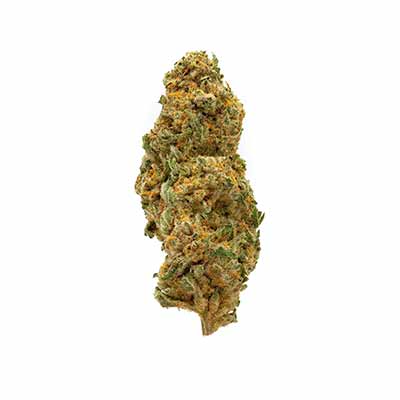 Mob Chopper > Karma Genetics | Feminized Marijuana   |  Indica