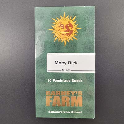 Moby Dick > Barneys Farm | Feminized Marijuana   |  Sativa