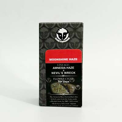 Moonshine Haze > Rare Dankness Seeds | Semillas Regulares  |  Sativa