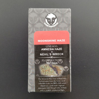 Moonshine Haze > Rare Dankness Seeds | Graines Normal  |  Sativa