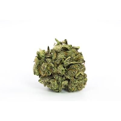 Nova OG > Anesia Seeds | Feminisierte Hanfsamen  |  Indica