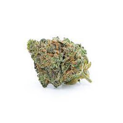 Oracle Octane > Anesia Seeds | Feminized Marijuana   |  Hybrid