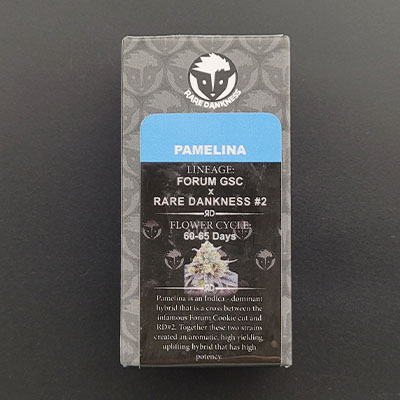 Pamelina > Rare Dankness Seeds | Reguläre Hanfsamen  |  Indica