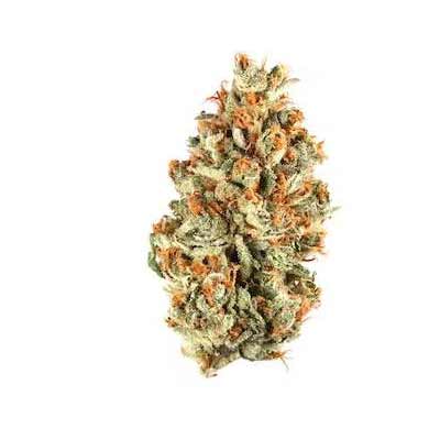 Peach Clouds > Perfect Tree | Feminized Marijuana   |  Indica