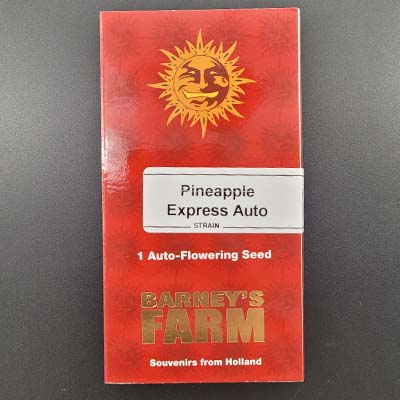 Pineapple Express (Auto) > Barney`s Farm | Autoflowering Cannabis   |  Indica