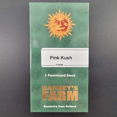 Pink Kush > Barneys Farm | Feminized Marijuana   |  Indica