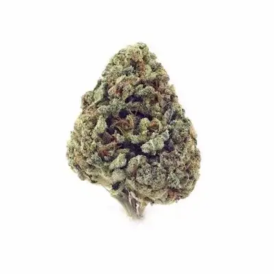 Pink Matcha Slush > Anesia Seeds | Feminized Marijuana   |  Sativa