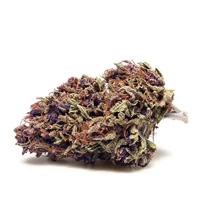 Pink Mist > Royal Queen Seeds | Feminisierte Hanfsamen  |  Sativa