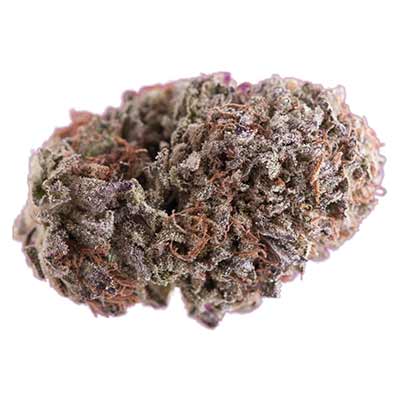 Purple CBD Auto > Bulldog Seeds | Semillas CBD  |  Híbrido