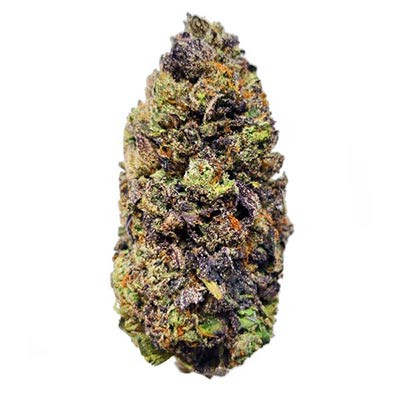 Purple Haze > Linda Seeds | Semillas feminizadas  |  Sativa