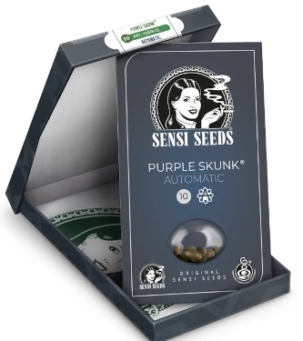 Purple Skunk Automatic > Sensi Seeds | Autoflowering Cannabis   |  Indica