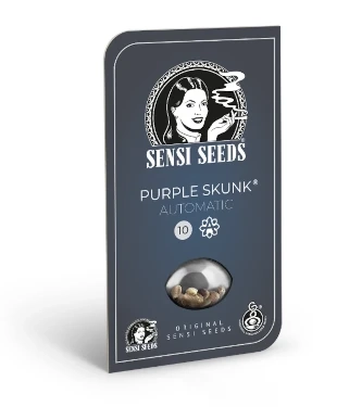 Purple Skunk Automatic > Sensi Seeds | Graines Autofloraison  |  Indica