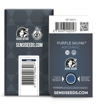 Purple Skunk Automatic > Sensi Seeds | Graines Autofloraison  |  Indica