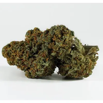 Purple Thai > Anesia Seeds | Feminisierte Hanfsamen  |  Sativa