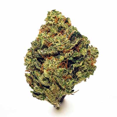 RS11 x Banana OG > Barney\'s Farm | Semillas feminizadas  |  Híbrido