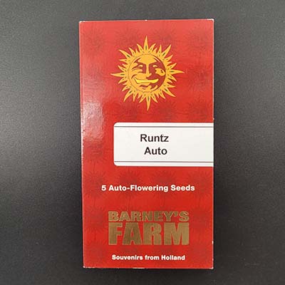 Runtz Auto > Barneys Farm | Autoflowering Hanfsamen  |  Indica