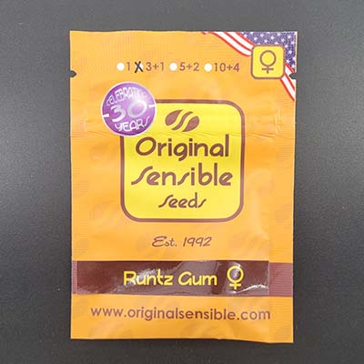 Runtz Gum > Original Sensible Seeds | Feminized Marijuana   |  Hybrid