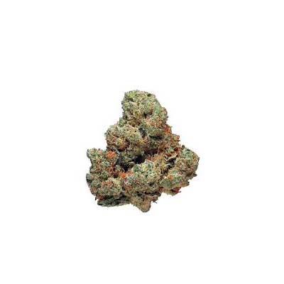 Scott\'s Haze > Rare Darkness | Regular Marijuana   |  Sativa