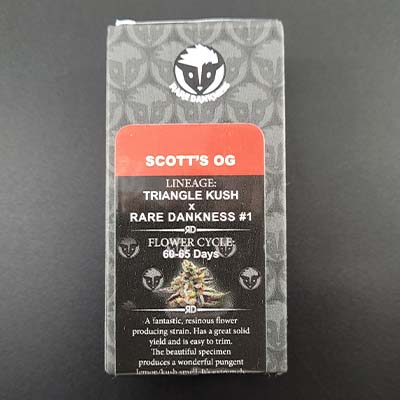 Scott\'s OG > Rare Dankness Seeds | Feminisierte Hanfsamen  |  Indica