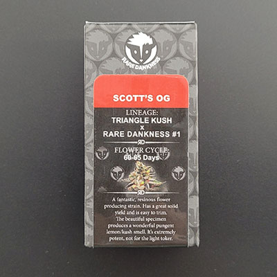 Scott\'s OG > Rare Dankness Seeds | Feminisierte Hanfsamen  |  Indica