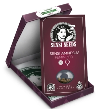 Sensi Amnesia > Sensi Seeds | Graines Féminisées  |  Sativa