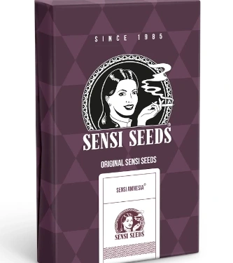 Sensi Amnesia > Sensi Seeds | Feminisierte Hanfsamen  |  Sativa