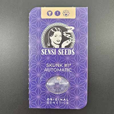 Skunk # 1 Automatic > Sensi Seeds | Autoflowering Cannabis   |  Hybrid