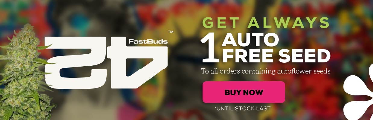 FAST BUDS COMPANY FREE SEEDS PROMOTION