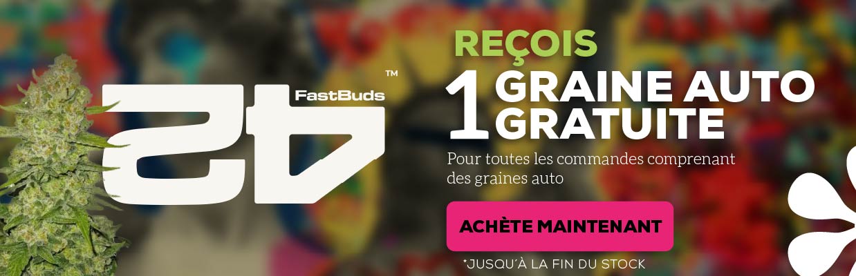 FAST BUDS COMPANY PROMOTION DE GRAINES GRATUITES