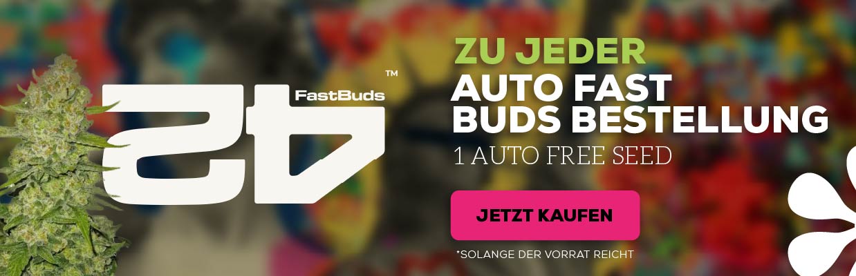 FAST BUDS COMPANY GRATIS SAMEN AKTION