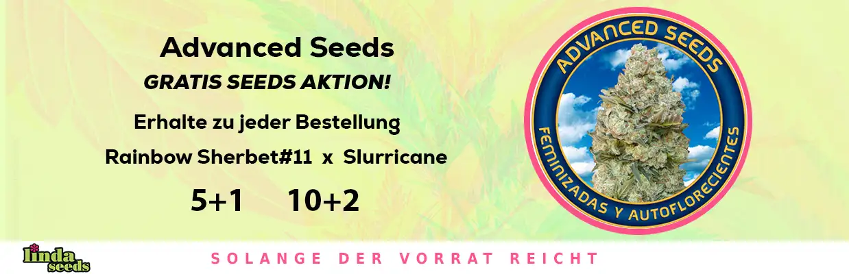 ADVANCED SEEDS GRATIS SAMEN AKTION