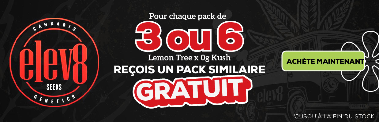 ELEV8 SEEDS PROMOTION DE GRAINES GRATUITES