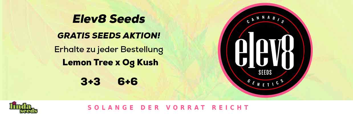 ELEV8 SEEDS GRATIS SAMEN AKTION