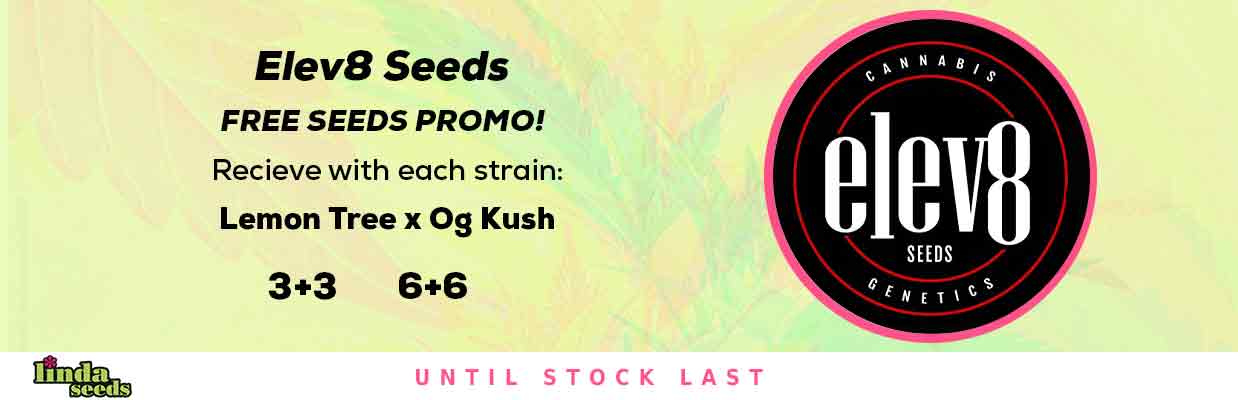 ELEV8 SEEDS FREE SEEDS PROMOTION