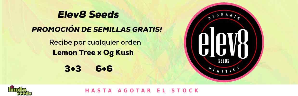 ELEV8 SEEDS PROMOCIÓN DE SEMILLAS GRATIS