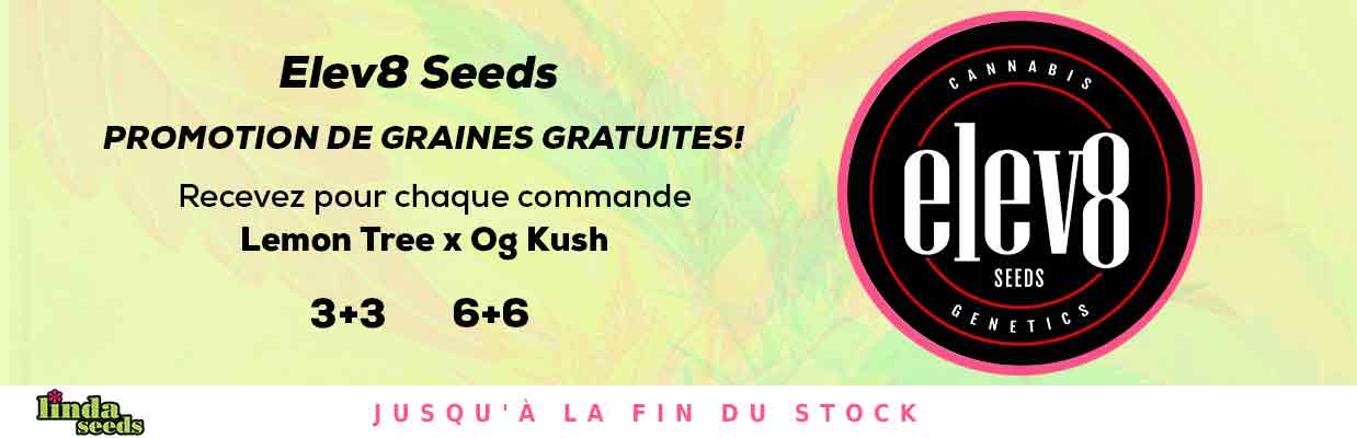 ELEV8 SEEDS PROMOTION DE GRAINES GRATUITES