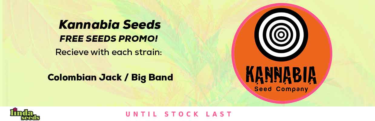 KANNABIA SEEDS FREE SEED PROMOTION