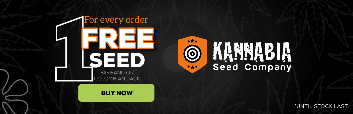 KANNABIA SEEDS FREE SEED PROMOTION