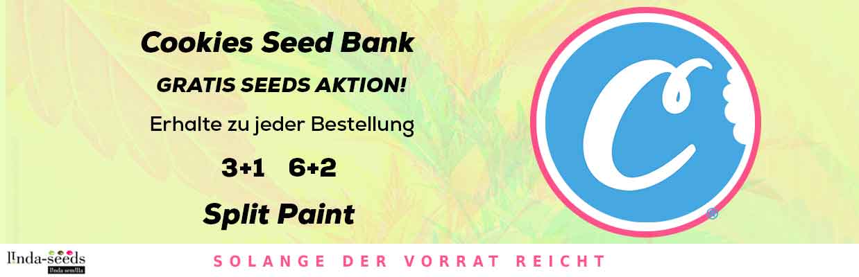 COOKIES SEEDBANK GRATIS SAMEN AKTION