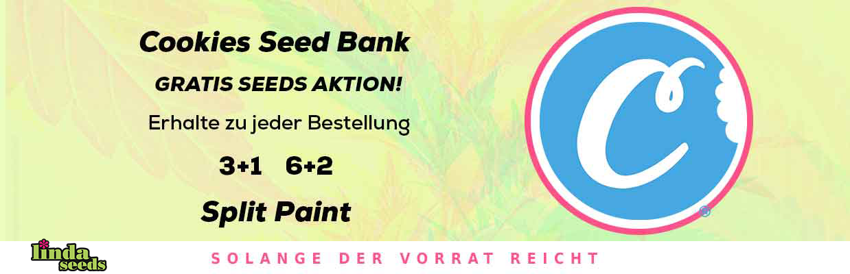 COOKIES SEEDBANK GRATIS SAMEN AKTION