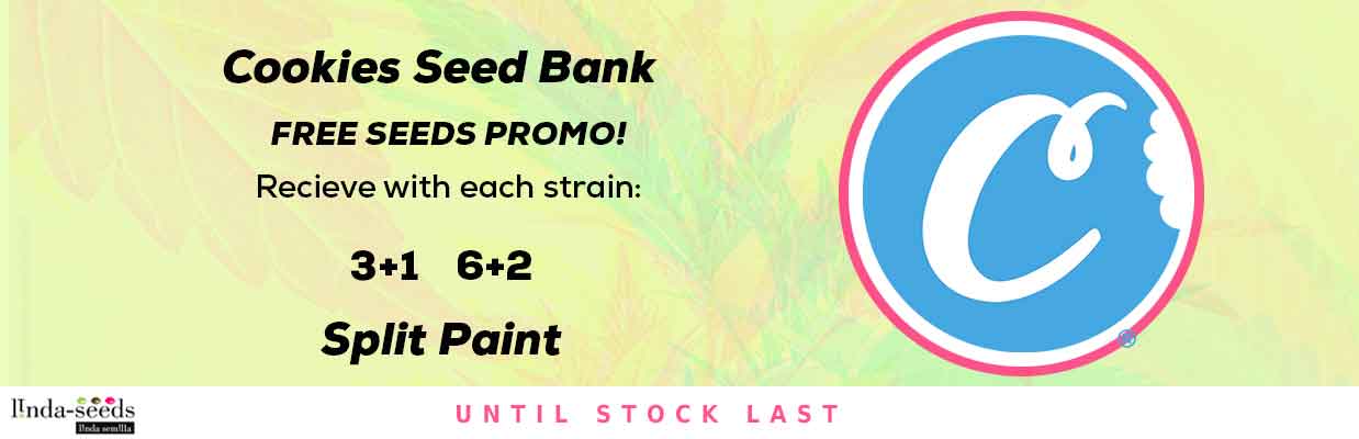 COOKIES SEEDBANK FREE SEEDS PROMOTION