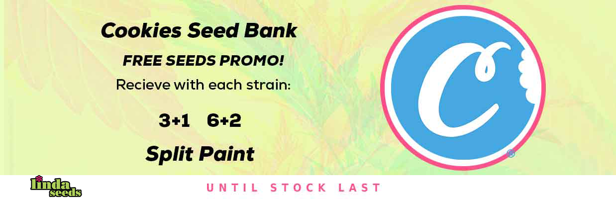 COOKIES SEEDBANK FREE SEEDS PROMOTION