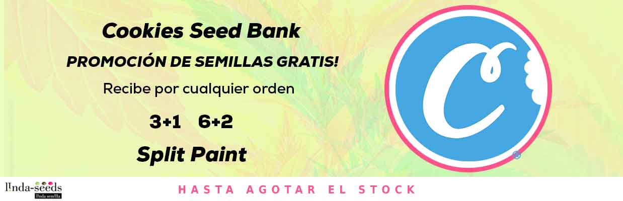 COOKIES SEEDBANK PROMOCIÓN DE SEMILLAS GRATIS