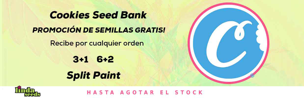 COOKIES SEEDBANK PROMOCIÓN DE SEMILLAS GRATIS