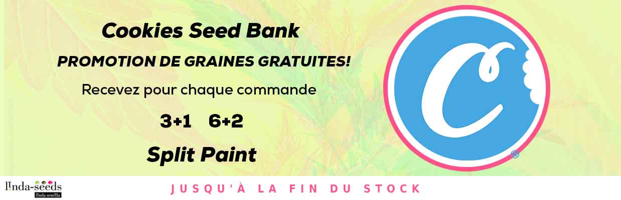 COOKIES SEEDBANK PROMOTION DE GRAINES GRATUITES