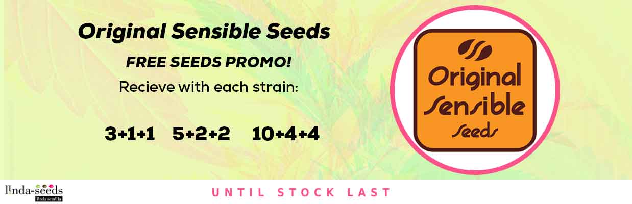 ORIGINAL SENSIBLE SEEDS FREE SEEDS PROMOTION