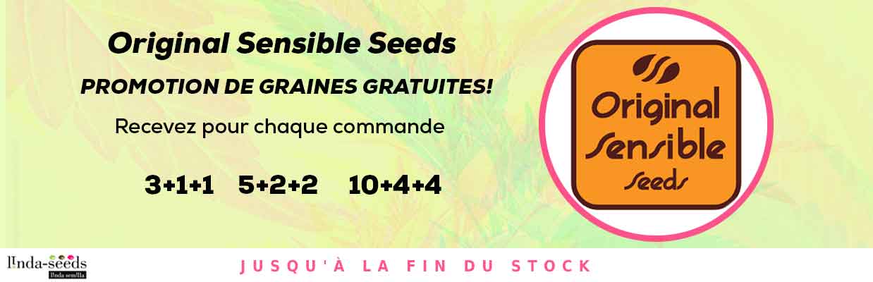 ORIGINAL SENSIBLE SEEDS PROMOTION DE GRAINES GRATUITES