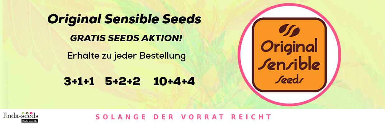 ORIGINAL SENSIBLE SEEDS GRATIS SAMEN AKTION