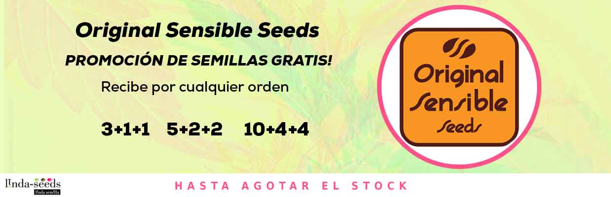 ORIGINAL SENSIBLE SEEDS PROMOCIÓN DE SEMILLAS GRATIS